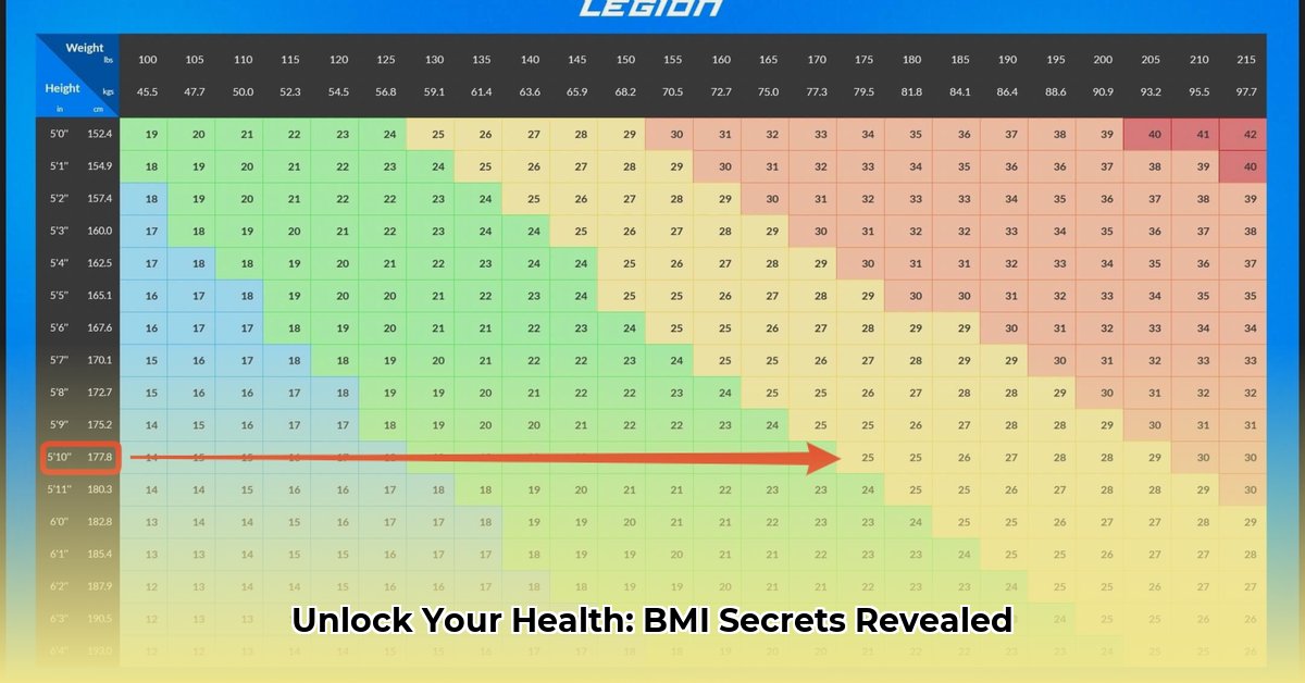 bmi-interpretation-and-health-risks